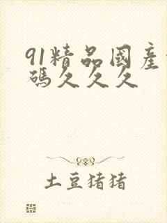 91精品国产乱码久久久封面