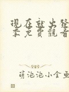 现在就出发第3季免费观看完整版高清