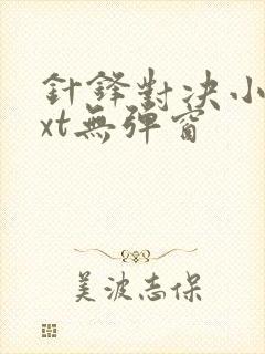 针锋对决小说txt无弹窗封面