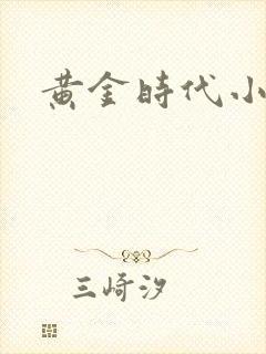 黄金时代小说