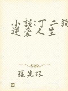小说:丁二狗的逆袭人生