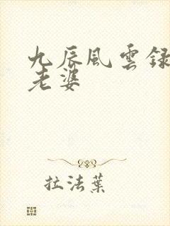 九辰风云录几个老婆