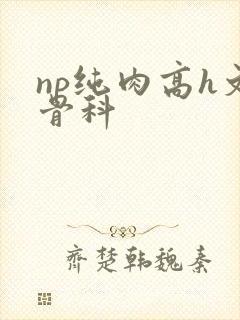np纯肉高h文骨科