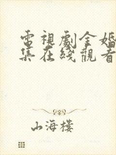 电视剧金婚50集在线观看免费封面