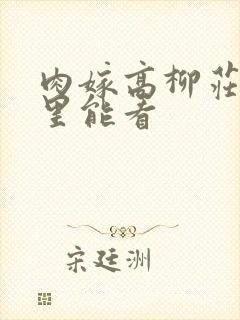 肉嫁高柳庄在哪里能看封面