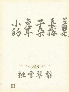 小兔子长着什么的耳朵总是什么的竖起来