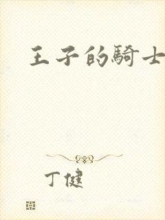 王子的骑士小说封面