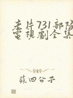 老片731部队电视剧全集