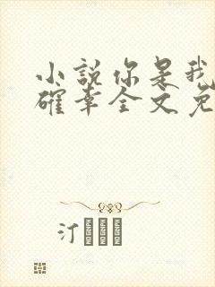 小说你是我的小确幸全文免费阅读