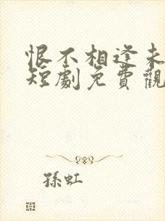 恨不相逢未嫁时短剧免费观看