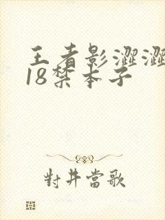 王者影涩涩同人18禁本子