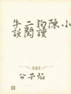 牛二狗陈小燕小说阅读封面
