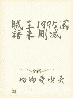 贼王1995国语未删减