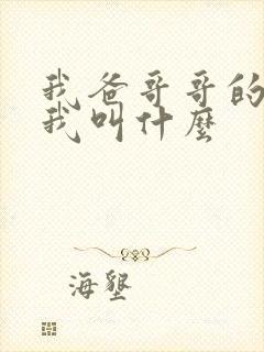 我爸哥哥的儿子我叫什么封面