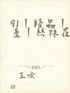 91丨精品丨国产丨丝袜在线观看封面