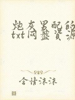 炮灰男配的人生txt网盘资源