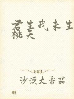 君生我未生小说桃夭