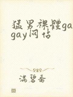 猛男裸体gaygay网站封面