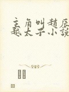 主角叫赵辰的穿越太子小说