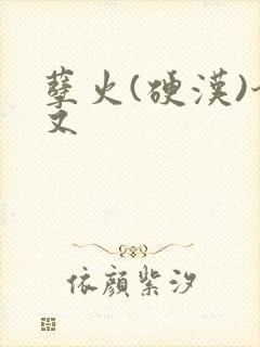 孽火(硬汉)今又