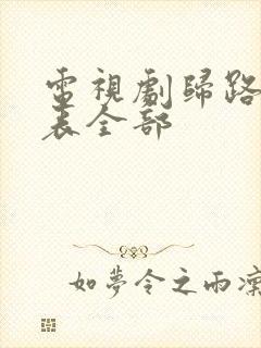 电视剧归路演员表全部封面