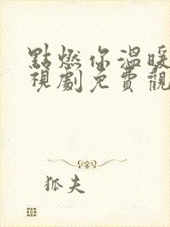 点燃你温暖我电视剧免费观看高清