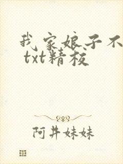 我家娘子不对劲 txt精校