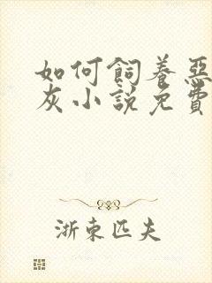 如何饲养恶毒炮灰小说免费阅读