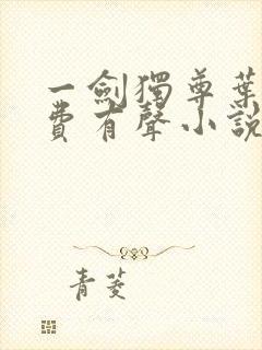 一剑独尊叶玄免费有声小说封面