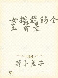 女总裁的全能兵王 萧晨