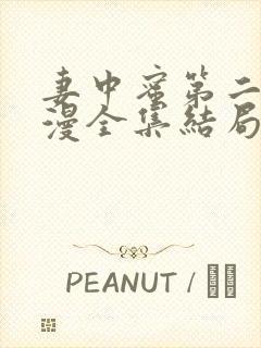 妻中蜜第二集动漫全集结局在线观看