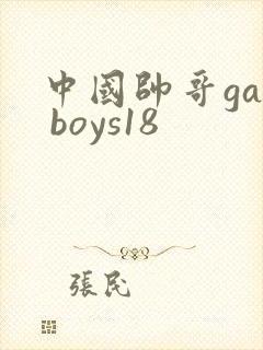 中国帅哥gay boys18封面
