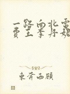 一路向北电影免费王李丹妮