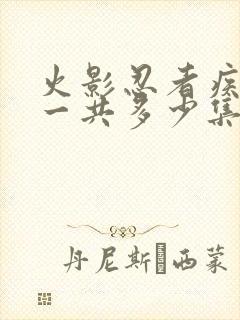 火影忍者疾风传一共多少集