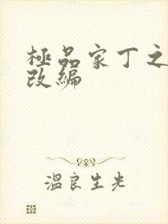 极品家丁之黑暗改编