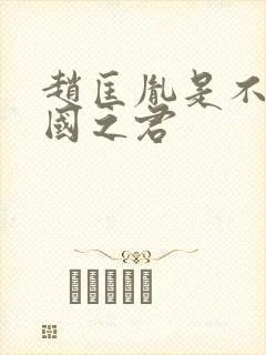 赵匡胤是不是开国之君