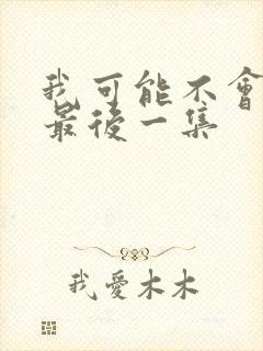 我可能不会爱你最后一集