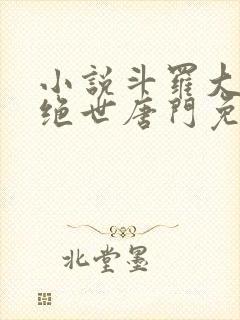 小说斗罗大陆2绝世唐门免费阅读全文作者封面