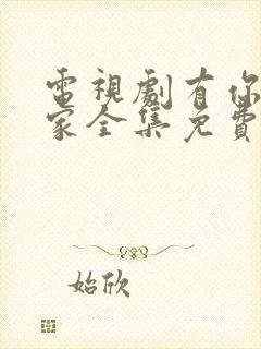 电视剧有你才有家全集免费观看33集封面