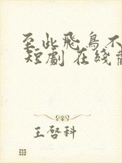 至此飞鸟不相逢 短剧 在线观看