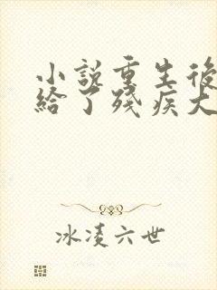 小说重生后我嫁给了残疾大佬