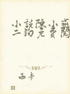 小说陈小燕,牛二狗免费阅读