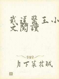 武道医王小说全文阅读封面