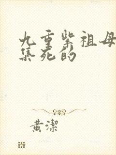 九重紫祖母第几集死的封面