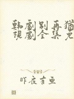 韩剧别再犹豫电视剧全集免费观看封面