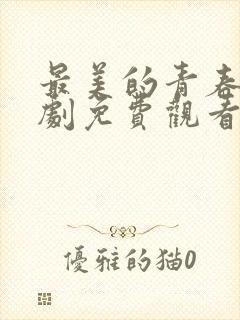 最美的青春电视剧免费观看全集高清版