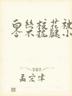 白丝校花被c得合不拢腿小说封面