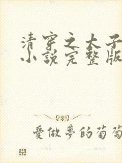 清穿之太子娇妃小说完整版