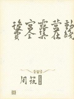 后宫露营动漫免费全集在线观看