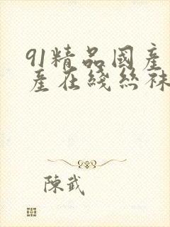 91精品国产自产在线丝袜啪